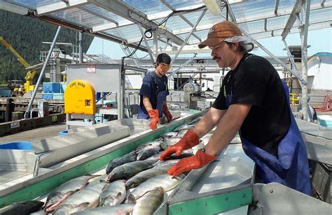 Contacts for Jobs and Careers, Alaska Department of Fish and .
